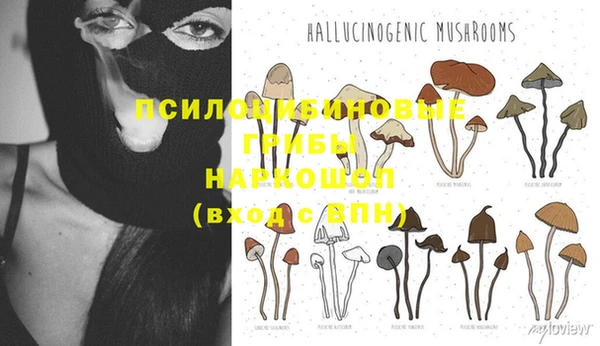 не бодяженный Абдулино