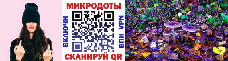 Псилоцибиновые грибы Psilocybe  дарнет шоп  Ивантеевка 