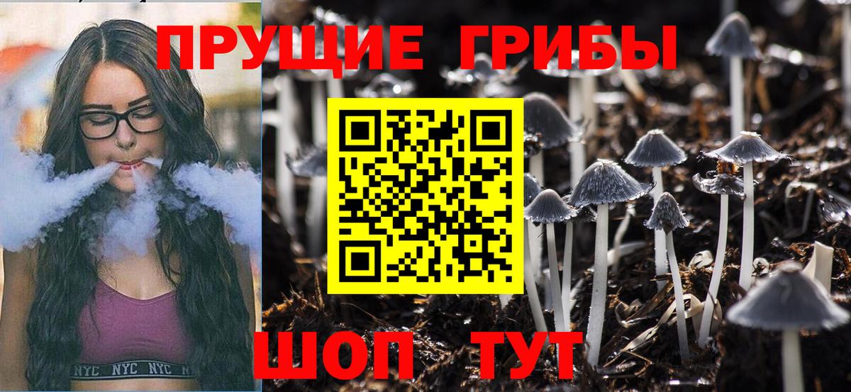 Ивантеевка  Галлюциногенные грибы GOLDEN TEACHER  Галлюциногенные грибы GOLDEN TEACHER  Вход с VPN 